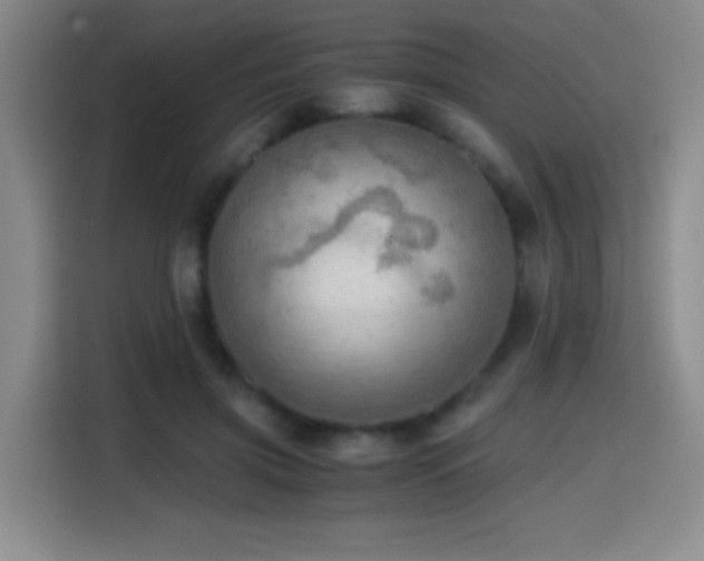 X0000114600549200910191620