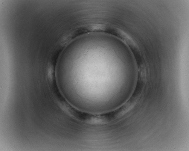 X0000114600550200910191620