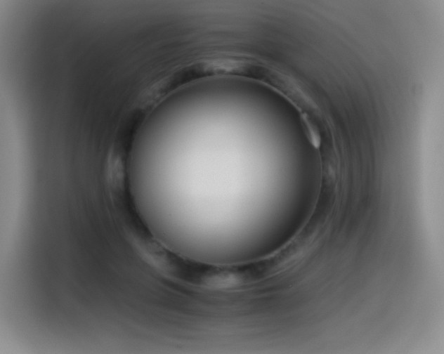 X0000114600551200910191620