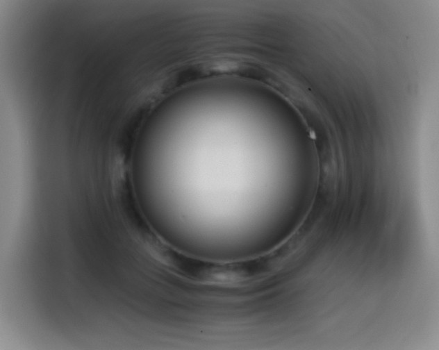 X0000114600555200910191620