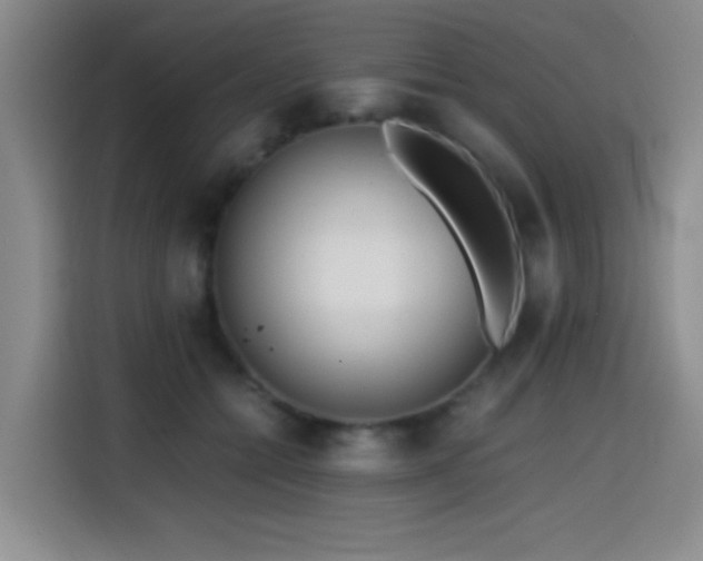 X0000114600558200910191620