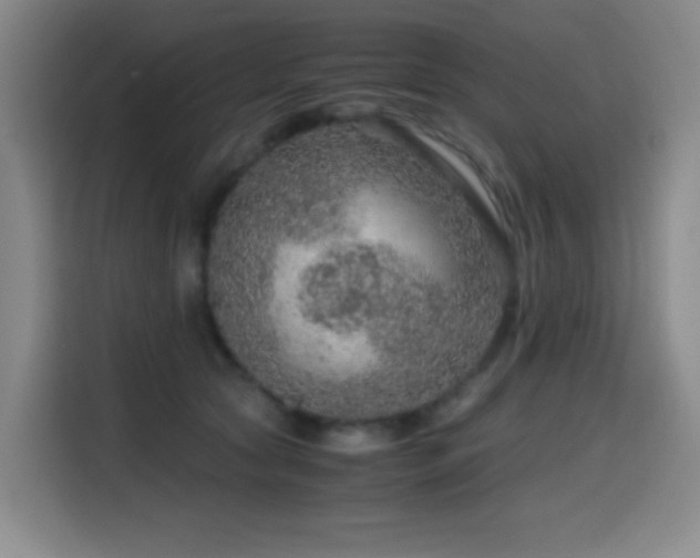 X0000114600561200910191620