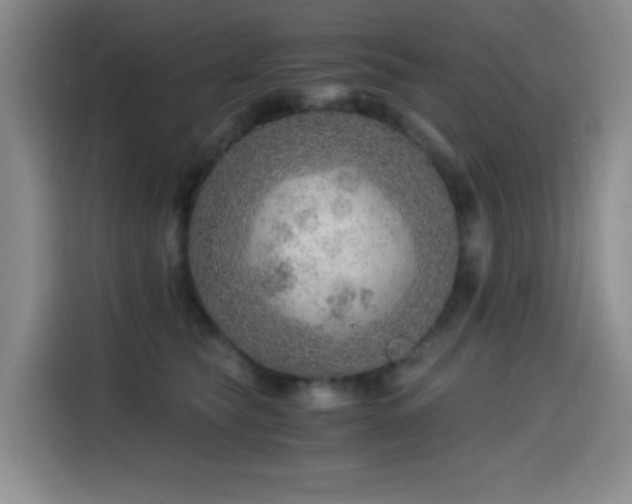 X0000114600565200910191621