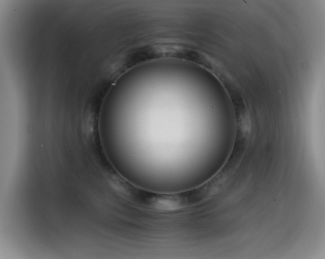 X0000114600567200910191621