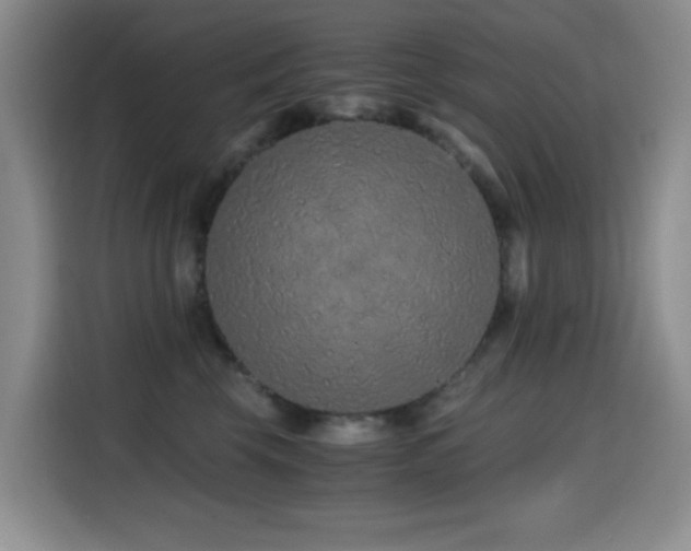 X0000114600569200910191621