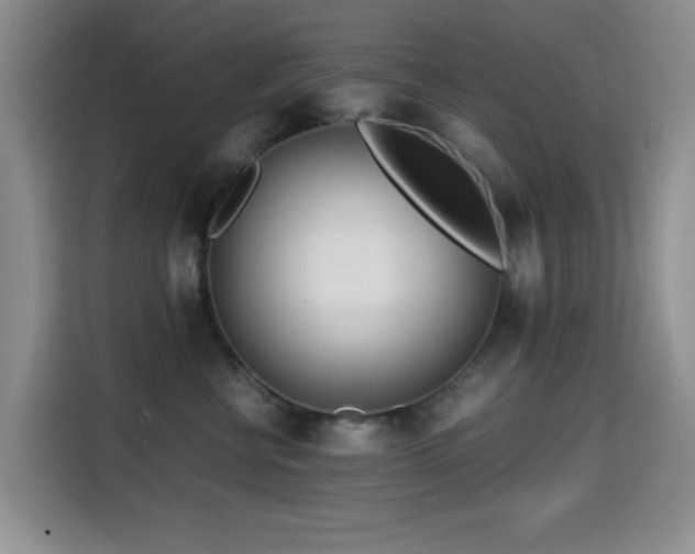 X0000114600570200910191621