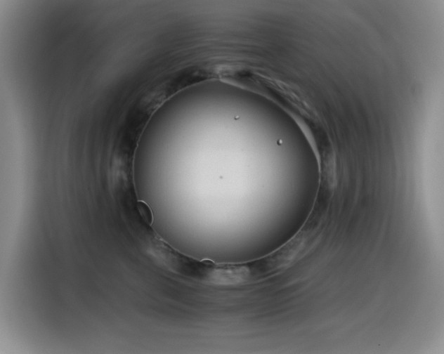 X0000114600571200910191621