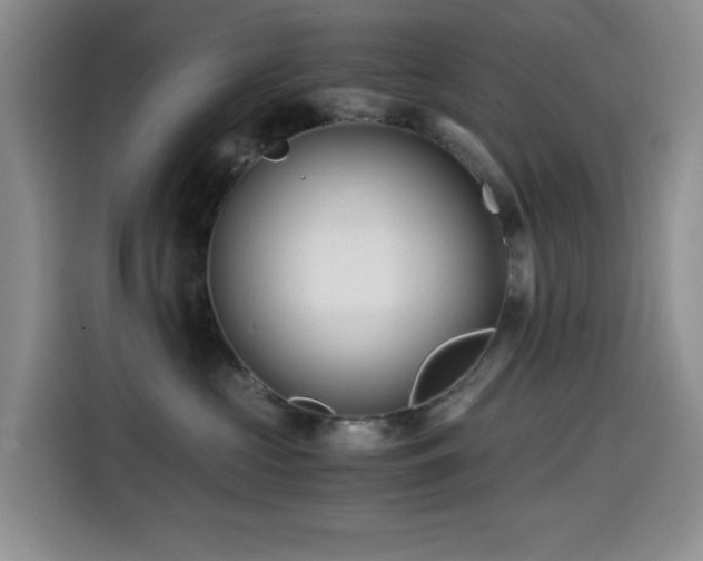 X0000114600573200910191621