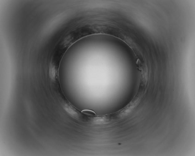 X0000114600574200910191621