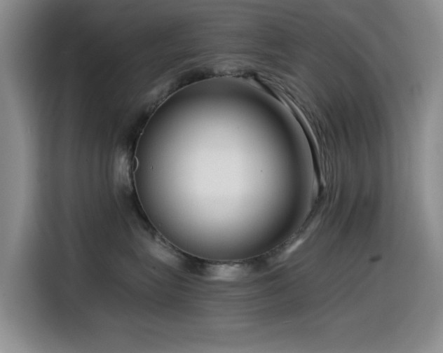 X0000114600575200910191621