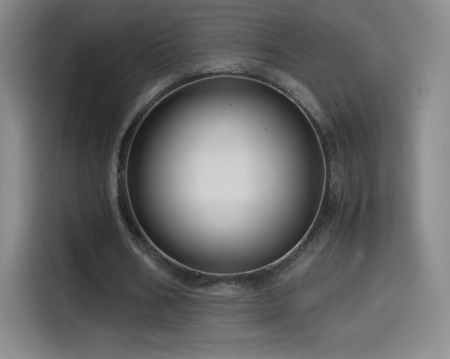 X0000114600578200910191620