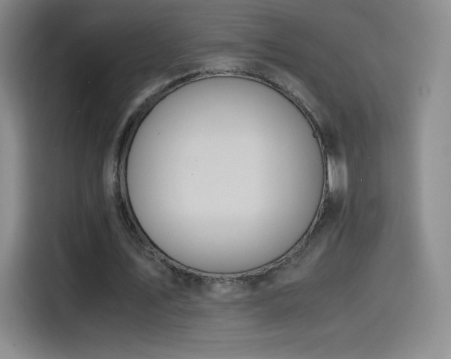 X0000114600579200910191620