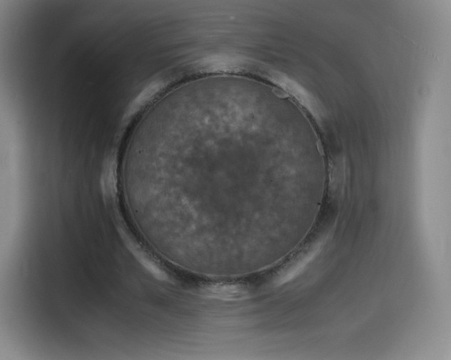 X0000114600581200910191620