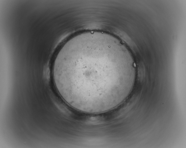 X0000114600584200910191620