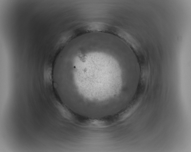 X0000114600585200910191620