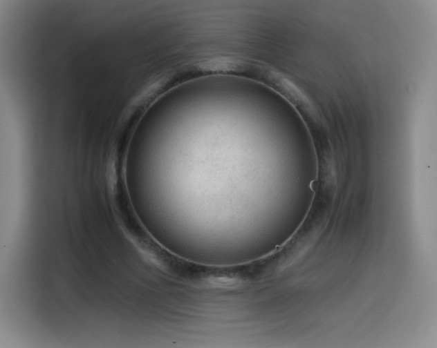 X0000114600586200910191620