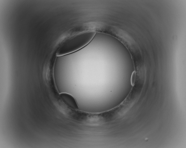 X0000114600587200910191620