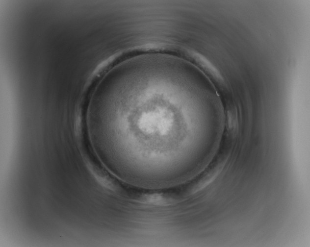 X0000114600588200910191620