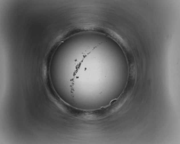 X0000114600589200910191620