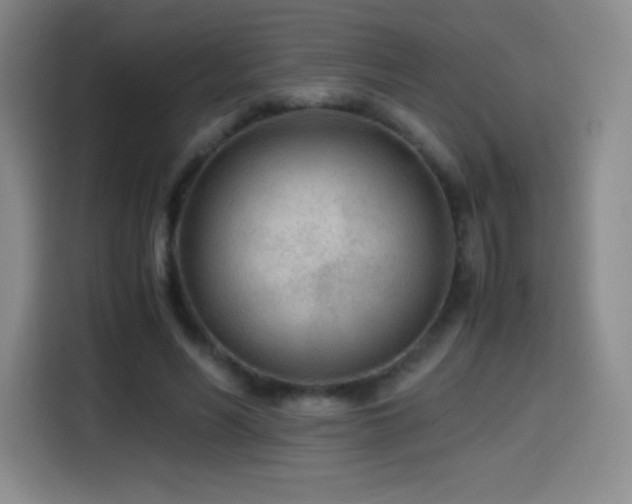 X0000114600590200910191620