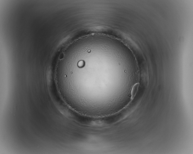 X0000114600591200910191620