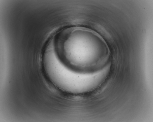 X0000114600592200910191620