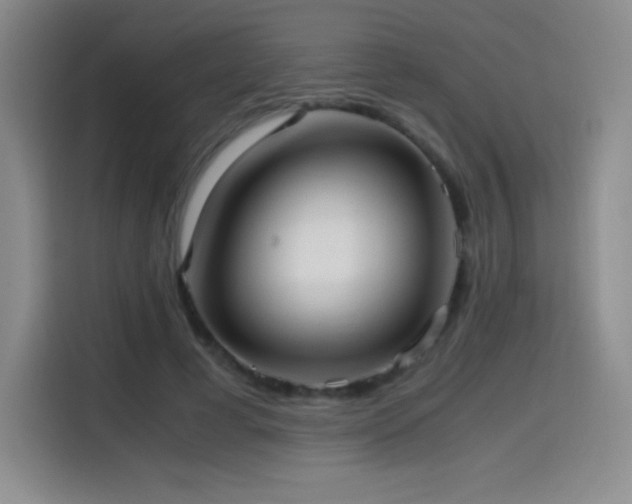 X0000114600593200910191620