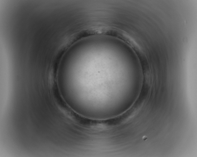 X0000114600594200910191620