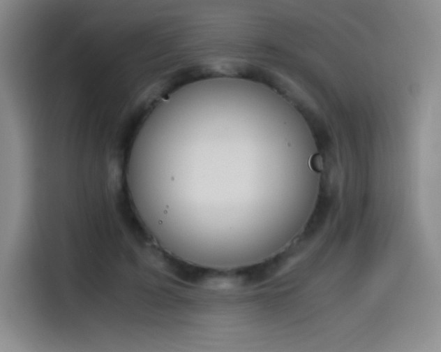 X0000114600595200910191620