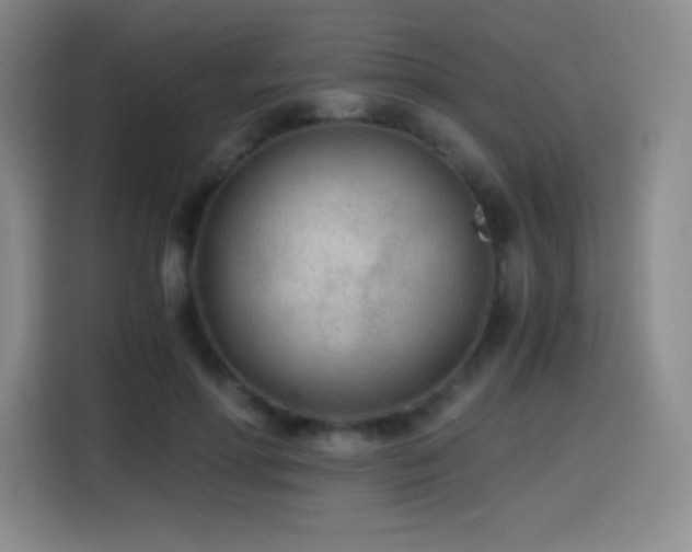 X0000114600598200910191620