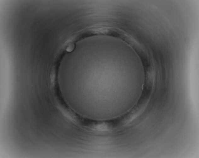 X0000114600600200910191620