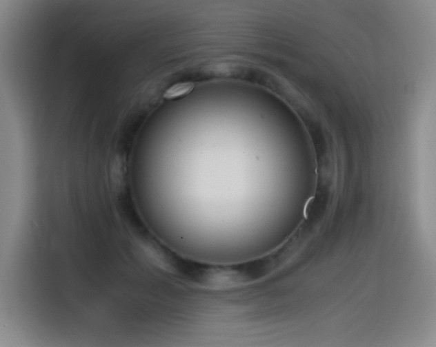 X0000114600605200910191620