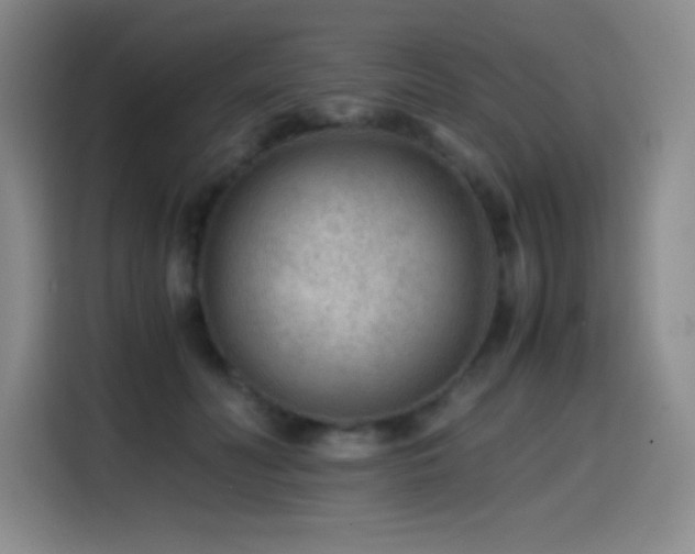 X0000114600606200910191620