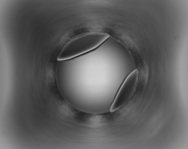 X0000114600609200910191620