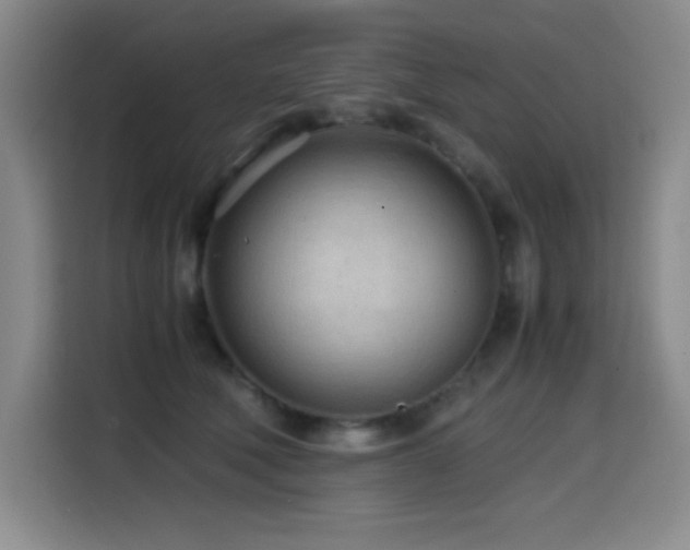 X0000114600610200910191620