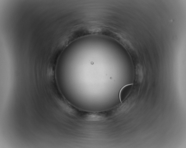 X0000114600614200910191620