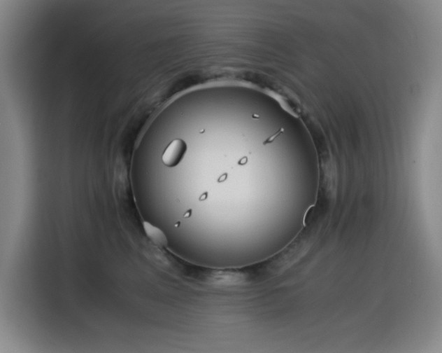 X0000114600617200910191620