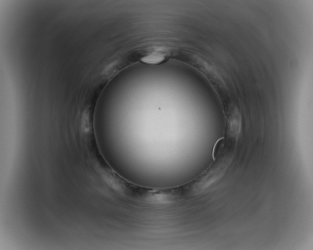 X0000114600620200910191620