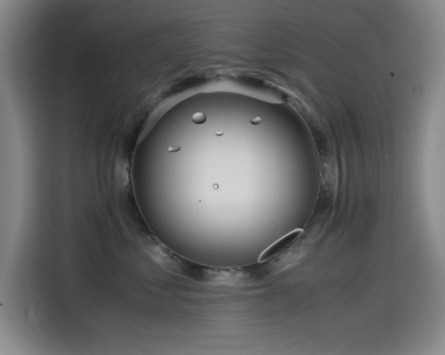 X0000114600621200910191619