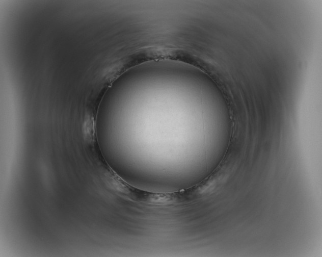 X0000114600624200910191619