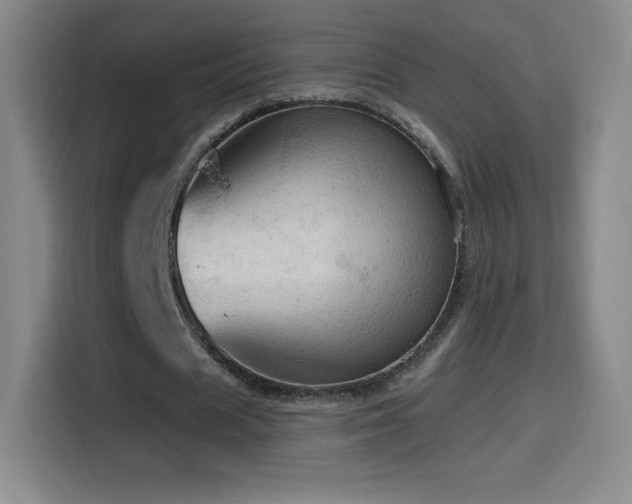 X0000114600625200910191619