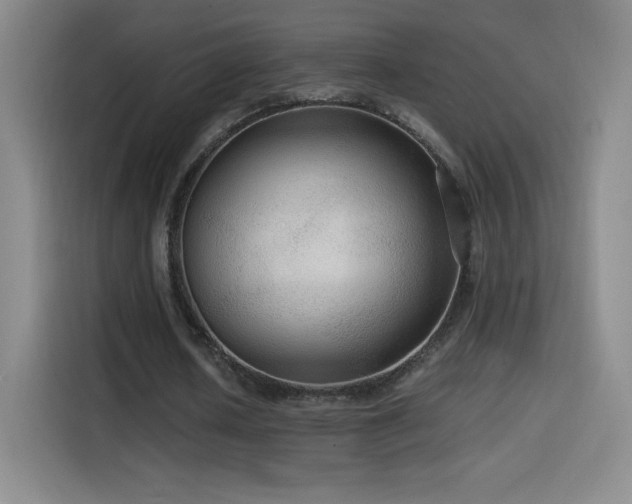 X0000114600626200910191619