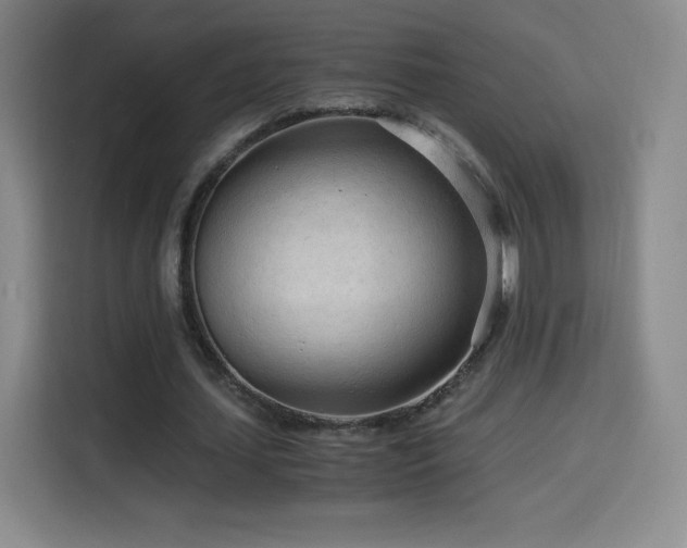 X0000114600627200910191619