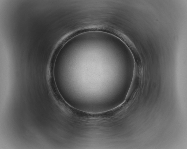 X0000114600628200910191619