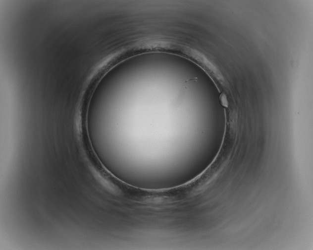 X0000114600629200910191619