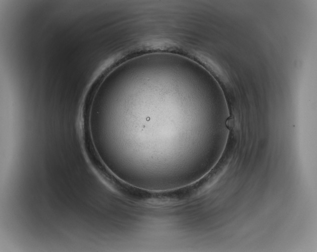 X0000114600630200910191619