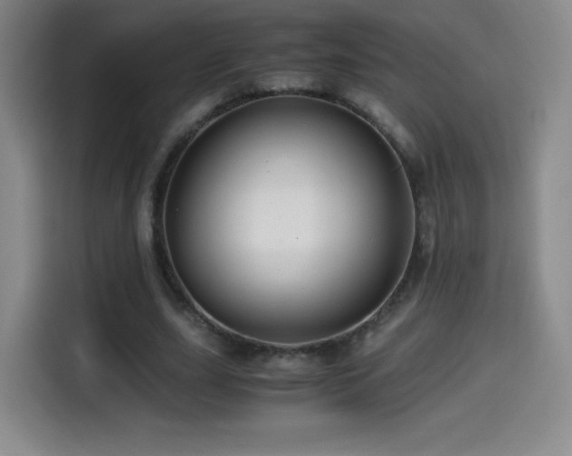 X0000114600631200910191619