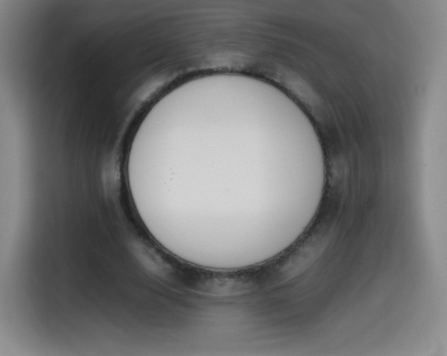 X0000114600632200910191619