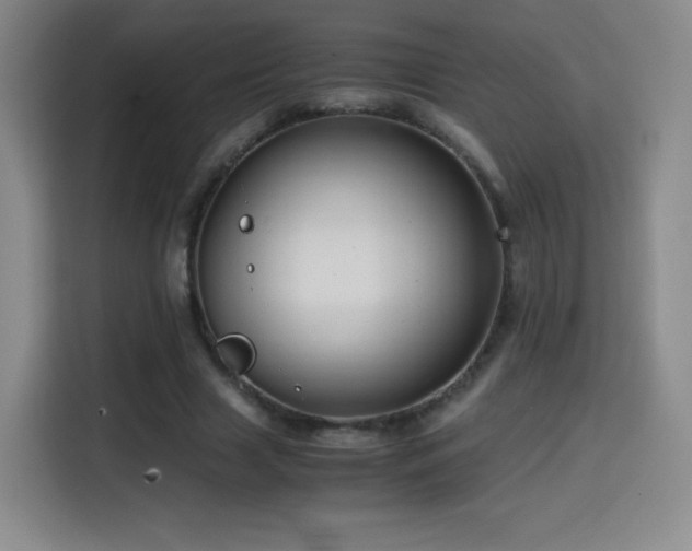 X0000114600633200910191619