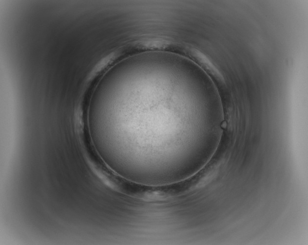 X0000114600634200910191619